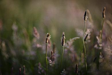 索尼宣布9月15日举行PS State of Play直播